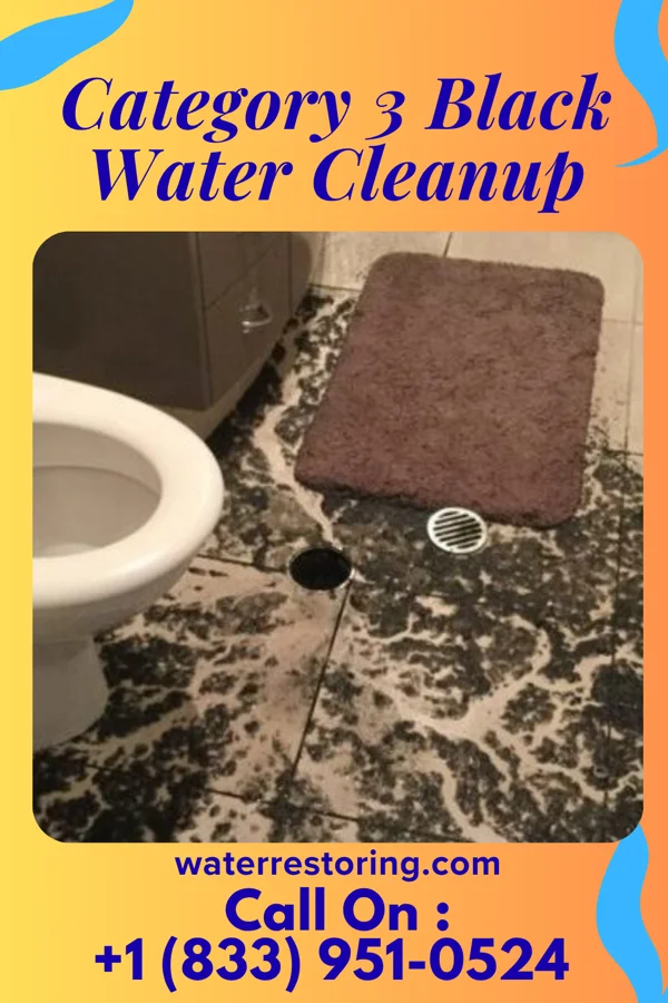 Category 3 Black Water Cleanup in Cardiff, AL
