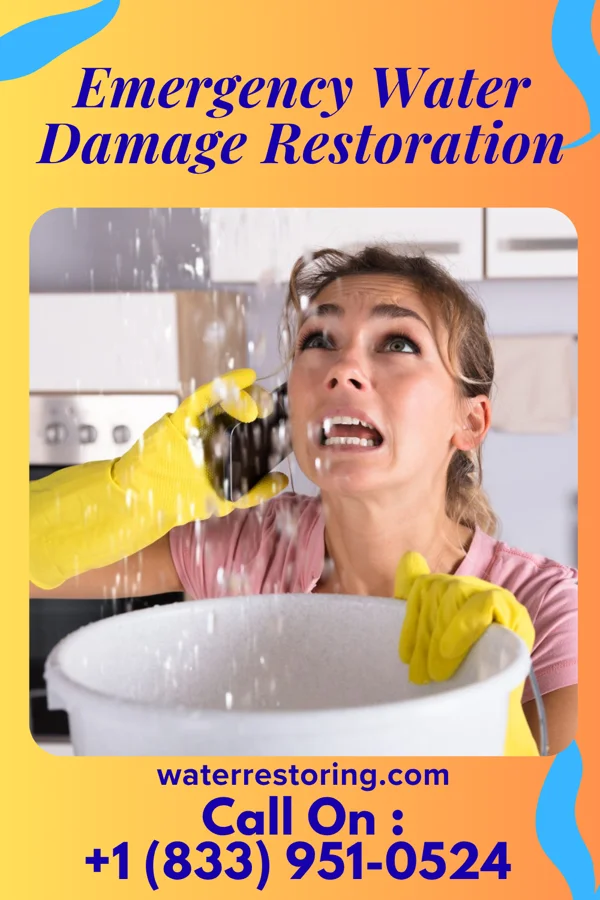 Emergency Water Damage Restoration in Cardiff, AL